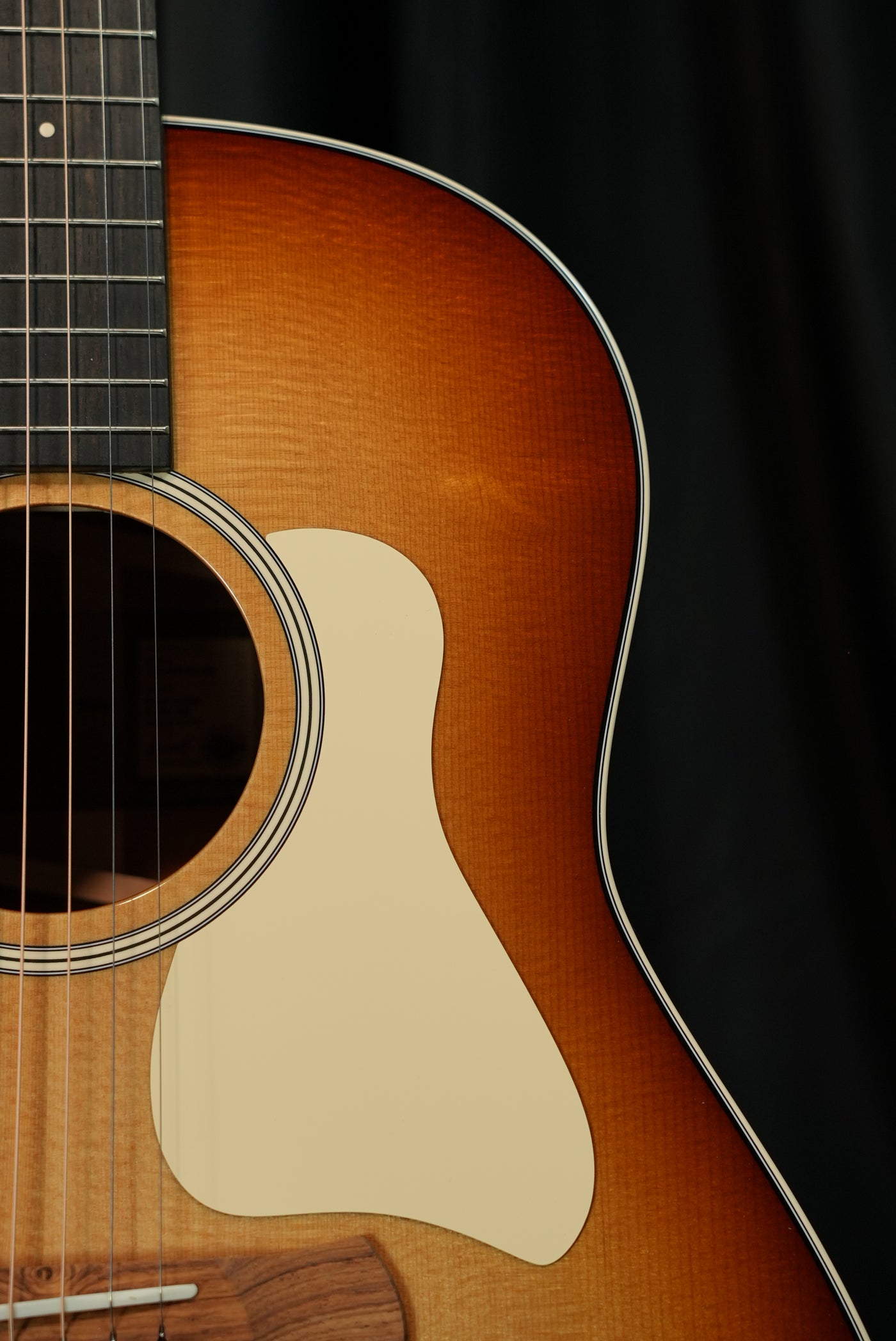 Taylor Gold Label 517e Sunburst torrefied Sitka spruce top grain and rosette close-up buy online