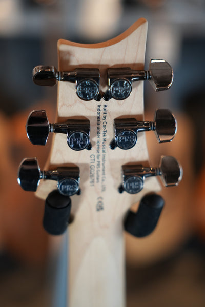 SE Swamp Ash CE 24 "Sandblasted" Limited Edition - Blue