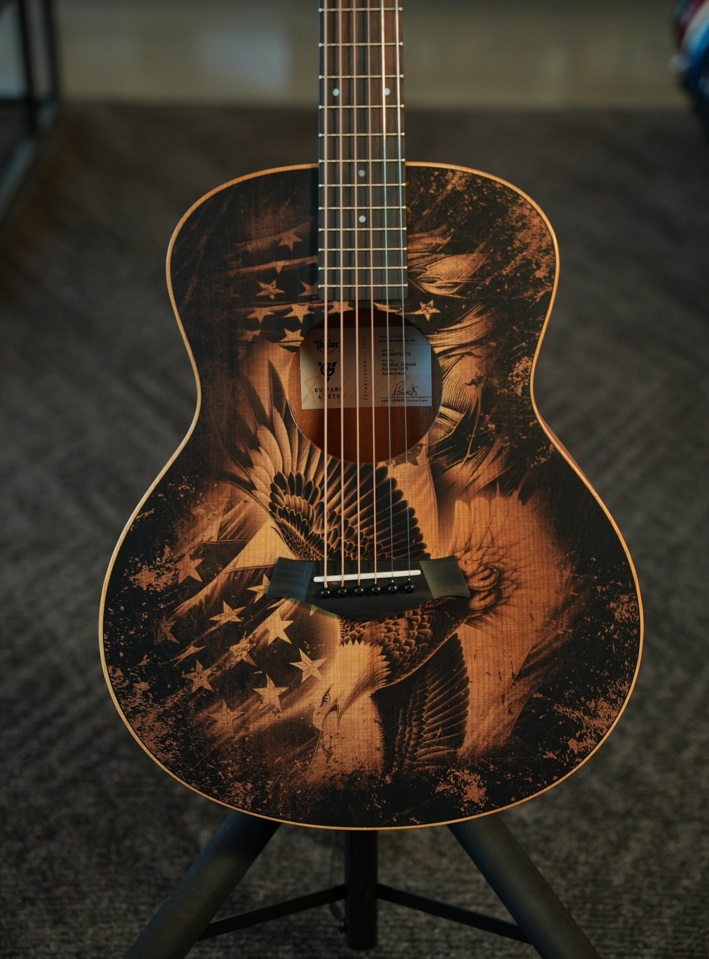 Taylor - Guitars 4 Vets GS Mini Americana Special Edition - Custom Artwork