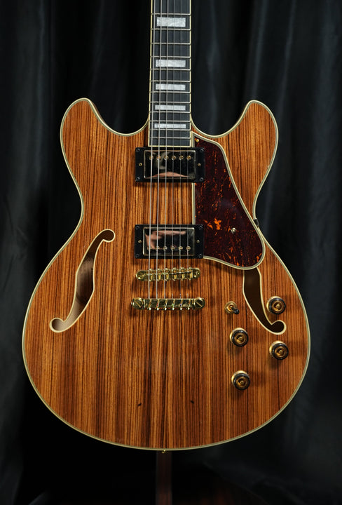 AS93ZWNT - Artcore Expressionist Hollowbody Electric Guitar