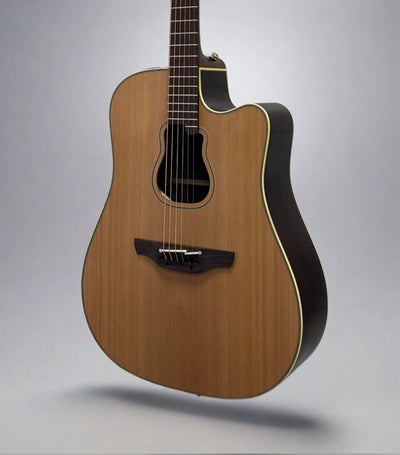 Takamine GB7C