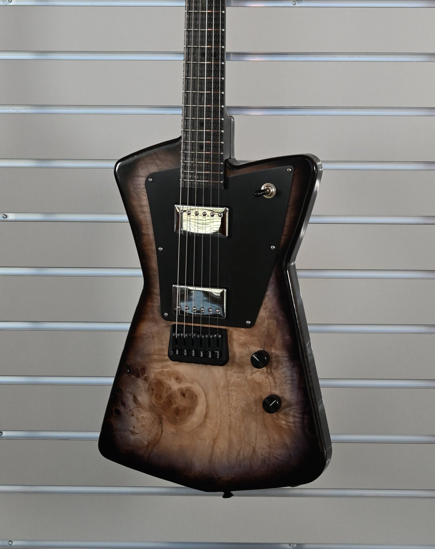 Orion Terra Guitar