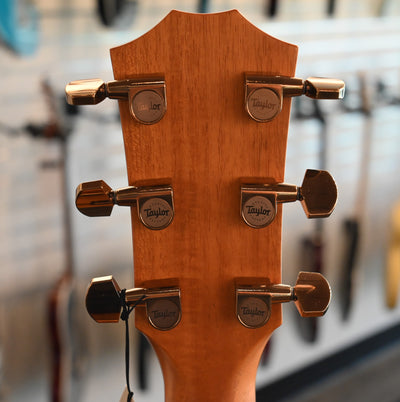 Taylor Custom #27: Grand Concert Tropical Mahogany