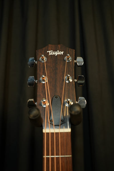 Front of Taylor 117e headstock with Taylor logo and ebony fingerboard