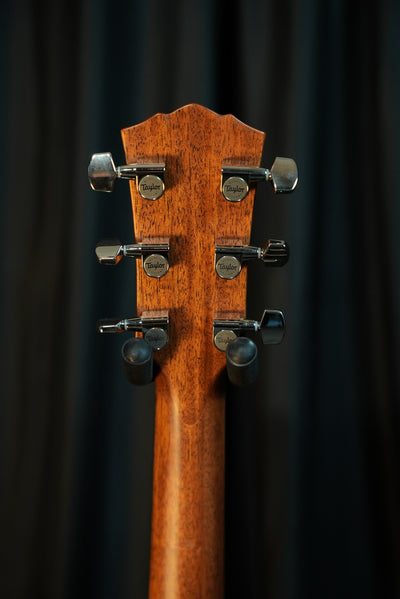 Taylor Gold Label 714e Sunburst headstock with tuners for sale in USA