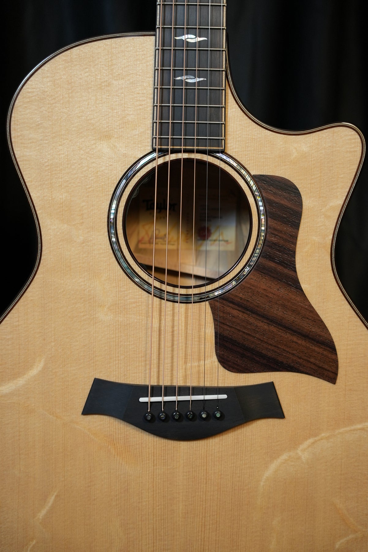 Taylor 814ce Special Edition | Blackheart Sassafras & Bearclaw
